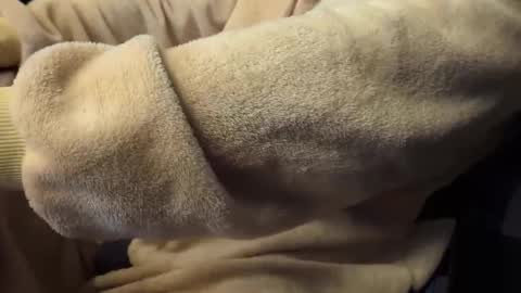 mrdelapampa online show from November 26, 2025, 11:55 am