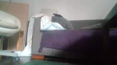 Nikola online show from October 18, 2025, 9:54 am