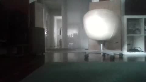 Nikola online show from February 12, 2026, 8:20 am