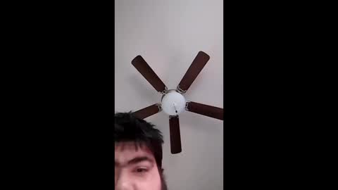 Snapshot of mrorange50187 chatting on December 11, 2024, 8:07 pm mrorange50187 online show from December 11, 2024, 8:07 pm