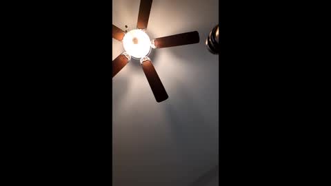 Snapshot of mrorange50187 chatting on January 12, 2025, 2:52 pm mrorange50187 online show from January 12, 2025, 2:52 pm