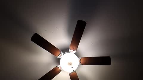 Snapshot of mrorange50187 chatting on January 26, 2025, 10:02 pm mrorange50187 online show from January 26, 2025, 10:02 pm