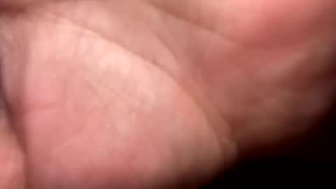 shawn online show from December 16, 2025, 9:20 pm