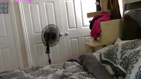 Snapshot of mrsjess1 chatting on November 17, 2025, 6:03 pm MrsJess online show from November 17, 2025, 6:03 pm