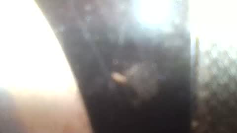 Snapshot of mrvenusx chatting on January 30, 2025, 2:36 pm Mrs Venus online show from January 30, 2025, 2:36 pm