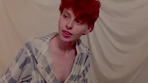 Snapshot of msprissylynx chatting on September 11, 2025, 2:22 am Adela Rose MsPrissyLynx online show from September 11, 2025, 2:22 am