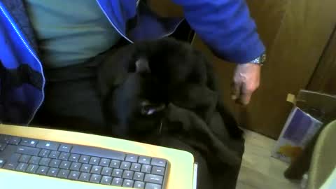 muller520 online show from January 11, 2025, 10:19 am