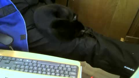 muller520 online show from January 15, 2025, 2:35 pm