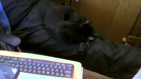 muller520 online show from January 16, 2025, 6:06 pm