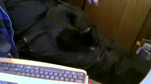 muller520 online show from February 13, 2025, 6:48 pm