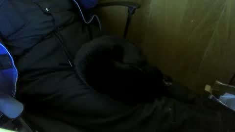 muller520 online show from October 29, 2025, 1:57 pm