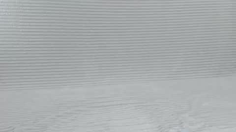 murrrmuah online show from October 8, 2025, 7:55 pm