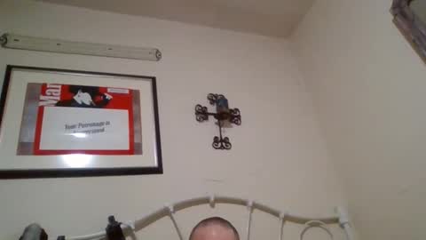 mustang2020gt123 online show from February 4, 2026, 11:27 am