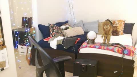 LA MARIPOSA DE MARICOPA online show from February 14, 2025, 5:41 am