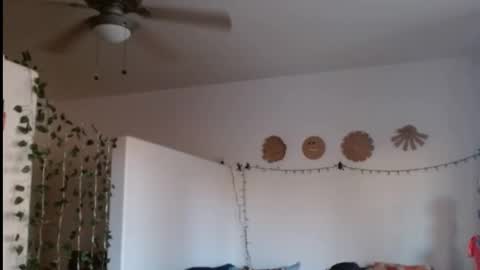 LA MARIPOSA DE MARICOPA online show from February 21, 2025, 12:38 am