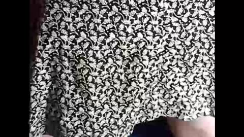 Snapshot of myself765 chatting on February 18, 2025, 7:09 pm Sissy Mike online show from February 18, 2025, 7:09 pm