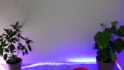  Eve  online show from October 11, 2025, 10:30 pm