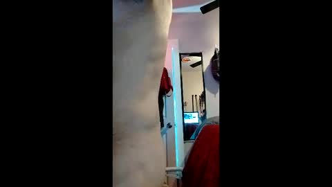 cheesechip online show from December 19, 2025, 12:50 am