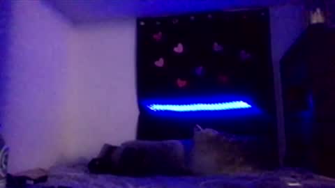 Snapshot of nadiabella07 chatting on February 15, 2026, 8:13 am Missbellaaaxox online show from February 15, 2026, 8:13 am