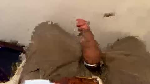 nairda2senoniuq online show from March 8, 2025, 6:47 pm