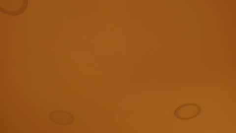 INSTAGRAM  m2221     online show from April 8, 2026, 10:04 am