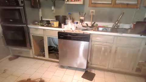 Snapshot of nakednate1780 chatting on December 6, 2024, 1:29 am nakednate1780 online show from December 6, 2024, 1:29 am