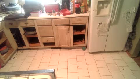 Snapshot of nakednate1780 chatting on December 25, 2024, 2:23 pm nakednate1780 online show from December 25, 2024, 2:23 pm