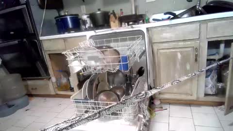 Snapshot of nakednate1780 chatting on March 3, 2025, 7:32 am nakednate1780 online show from March 3, 2025, 7:32 am