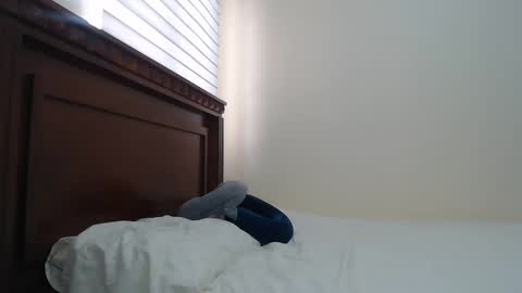 Snapshot of nala_foster chatting on February 18, 2025, 3:10 pm Nala online show from February 18, 2025, 3:10 pm