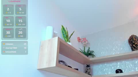   online show from December 21, 2024, 12:20 am