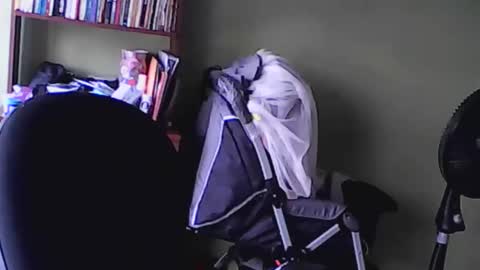 Snapshot of nana_666_ chatting on November 17, 2025, 9:20 pm nana_666_ online show from November 17, 2025, 9:20 pm