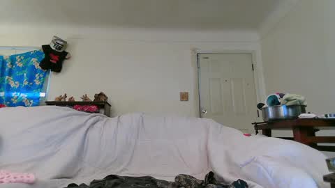 Snapshot of nannabaldur chatting on December 20, 2024, 8:34 pm Nanna Baldur online show from December 20, 2024, 8:34 pm