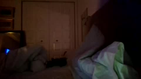 Snapshot of nassobout chatting on December 17, 2024, 7:40 am nassobout online show from December 17, 2024, 7:40 am
