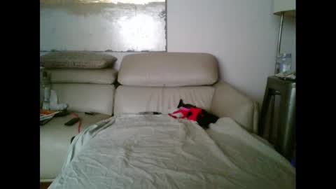 nassobout online show from October 12, 2025, 9:41 am