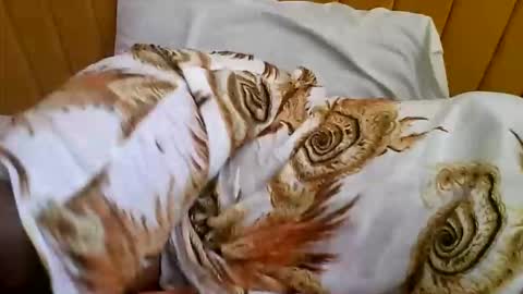 Sweet Ella online show from October 9, 2025, 7:17 am