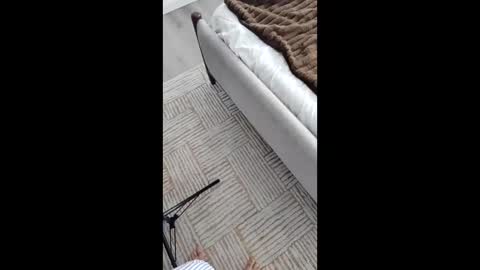 Asian Milf Show online show from November 17, 2025, 5:41 pm