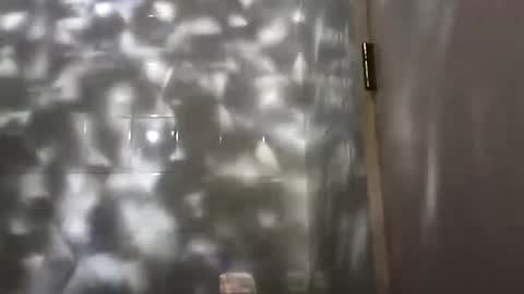 nastysubs69 online show from December 25, 2024, 12:27 am