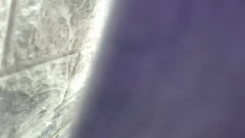 Snapshot of natalieevansx chatting on November 16, 2025, 3:39 pm natalieevansx online show from November 16, 2025, 3:39 pm