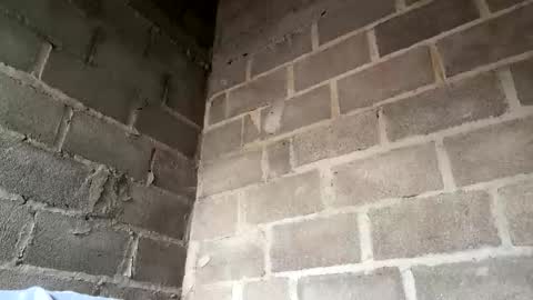 Snapshot of natasha__magics chatting on February 1, 2026, 5:11 pm natasha__magics online show from February 1, 2026, 5:11 pm