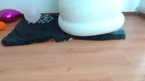 nath_dawson online show from February 16, 2025, 2:00 pm