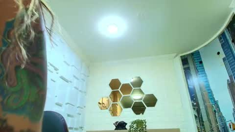 Kitten online show from February 12, 2026, 10:43 am