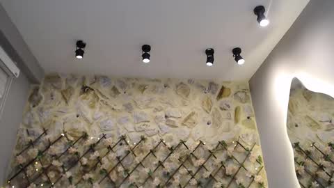 NEBULA  online show from January 17, 2026, 7:06 pm