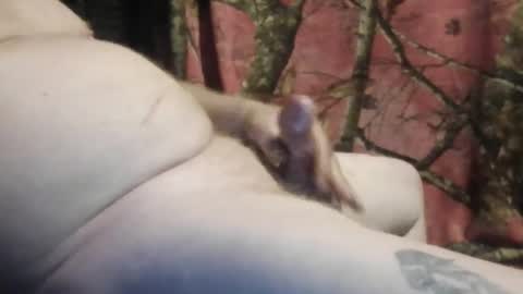 ned is naughty online show from March 7, 2026, 10:45 am