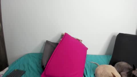 Nei turn green online show from September 22, 2025, 1:29 am