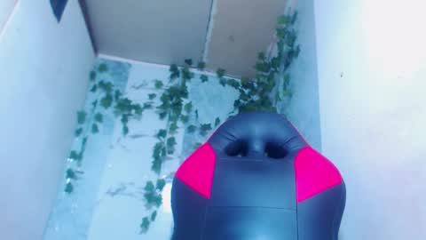 negrita online show from February 12, 2026, 11:05 am