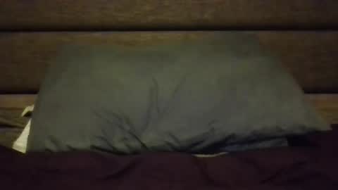 Snapshot of nerfylil2 chatting on January 8, 2026, 4:37 am Nerfylil online show from January 8, 2026, 4:37 am