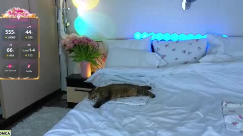 never give up  online show from March 17, 2026, 12:08 pm