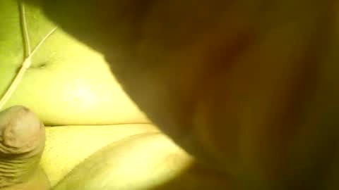 Snapshot of neverland966 chatting on January 25, 2025, 4:13 am Mark online show from January 25, 2025, 4:13 am