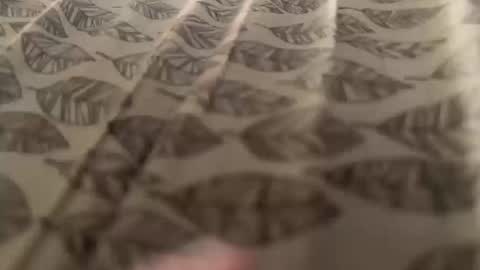 Snapshot of newby101 chatting on October 12, 2025, 8:57 am Meow Meow online show from October 12, 2025, 8:57 am