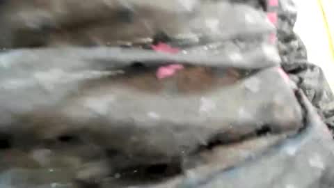 Bianca online show from October 26, 2025, 9:31 pm